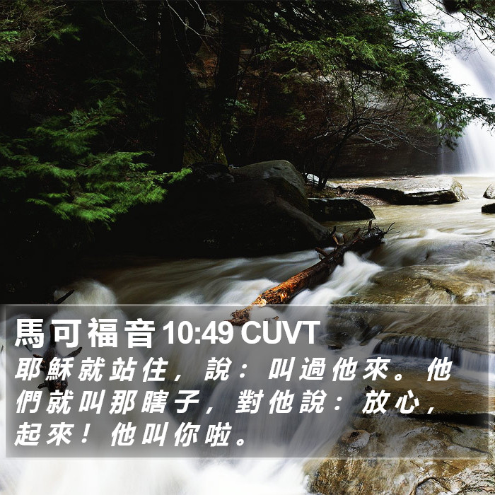 馬 可 福 音 10:49 CUVT Bible Study