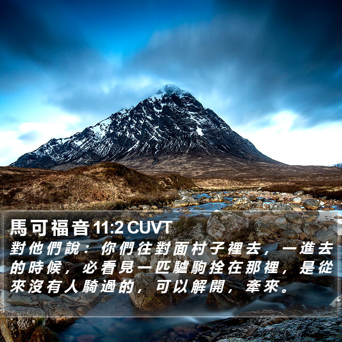 馬 可 福 音 11:2 CUVT Bible Study