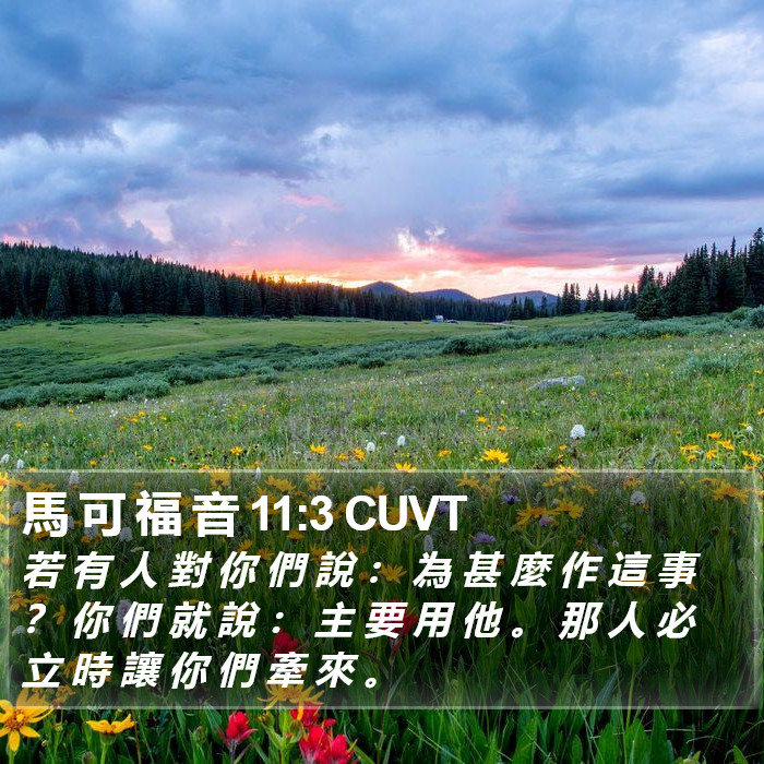 馬 可 福 音 11:3 CUVT Bible Study