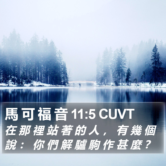 馬 可 福 音 11:5 CUVT Bible Study