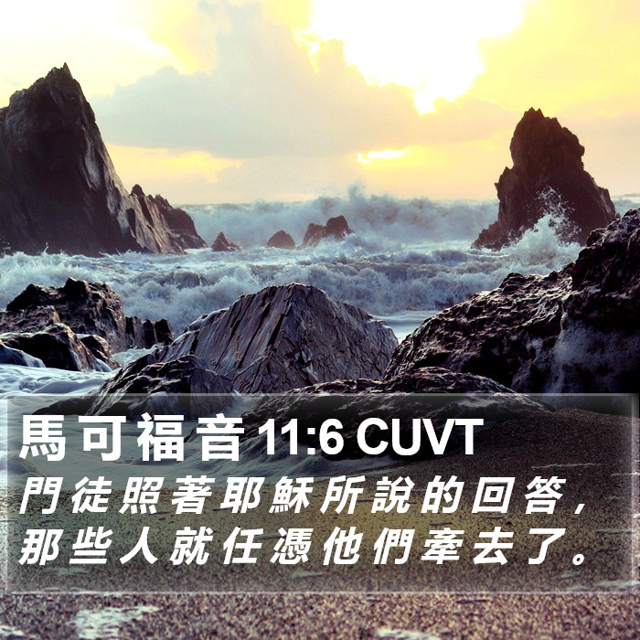 馬 可 福 音 11:6 CUVT Bible Study