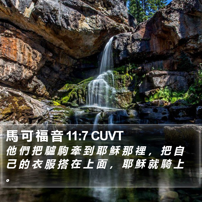 馬 可 福 音 11:7 CUVT Bible Study