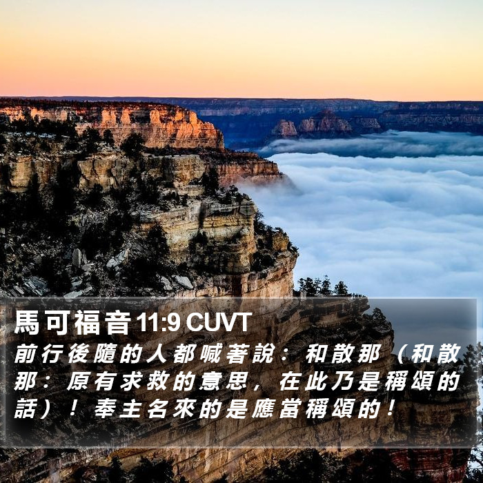 馬 可 福 音 11:9 CUVT Bible Study
