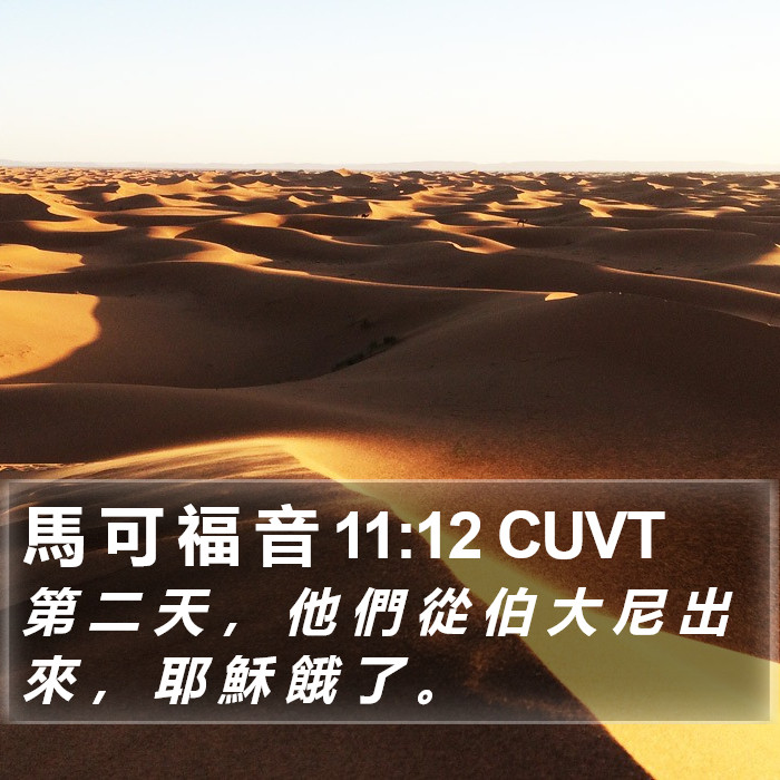馬 可 福 音 11:12 CUVT Bible Study