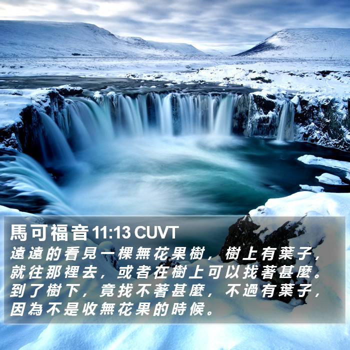 馬 可 福 音 11:13 CUVT Bible Study