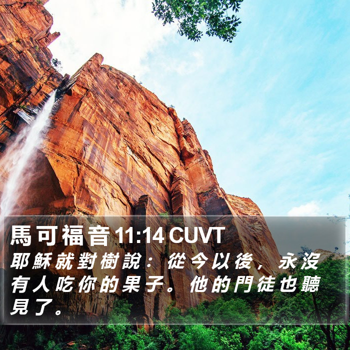 馬 可 福 音 11:14 CUVT Bible Study