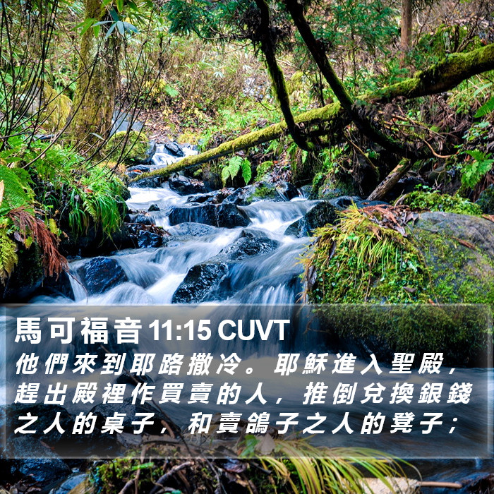 馬 可 福 音 11:15 CUVT Bible Study