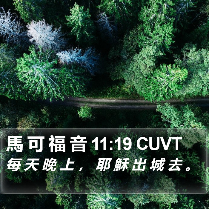 馬 可 福 音 11:19 CUVT Bible Study