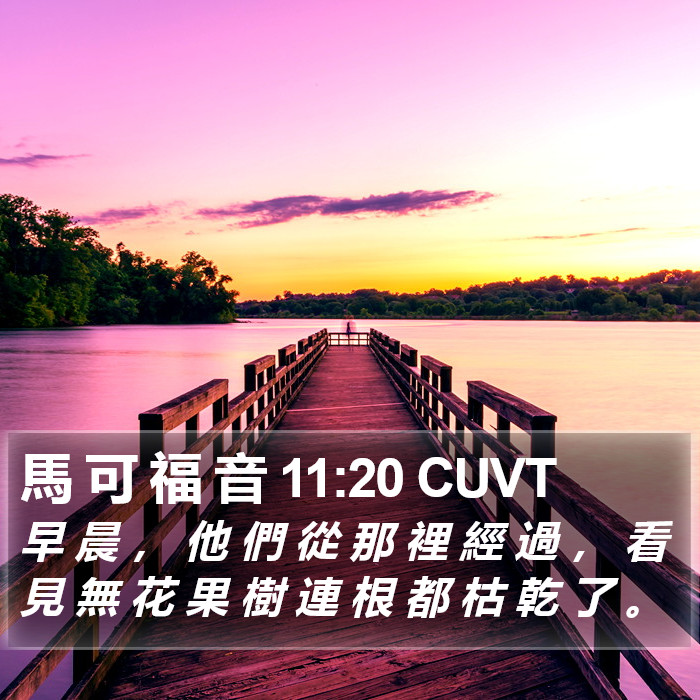 馬 可 福 音 11:20 CUVT Bible Study