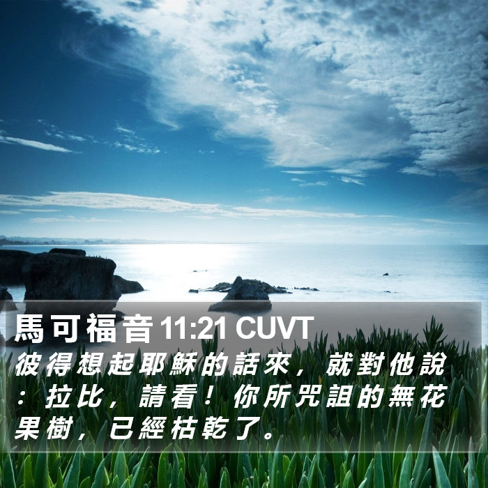 馬 可 福 音 11:21 CUVT Bible Study