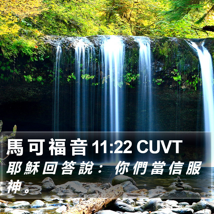 馬 可 福 音 11:22 CUVT Bible Study