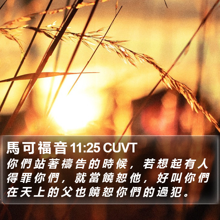 馬 可 福 音 11:25 CUVT Bible Study