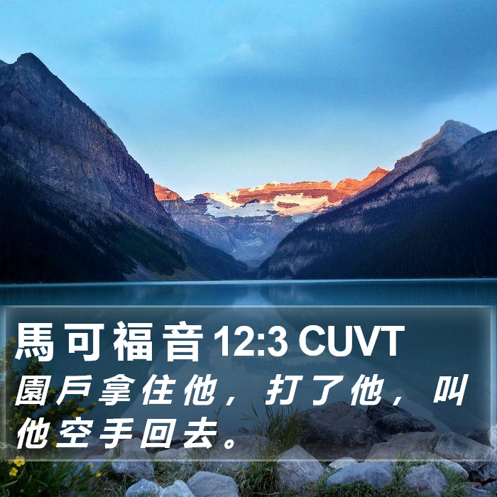 馬 可 福 音 12:3 CUVT Bible Study