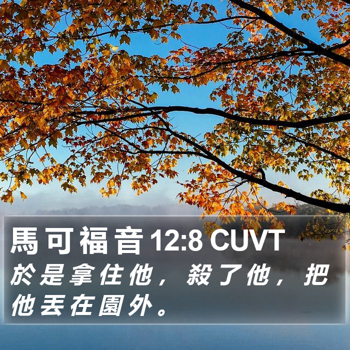 馬 可 福 音 12:8 CUVT Bible Study