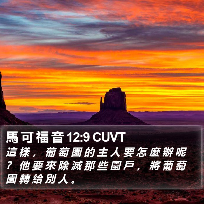 馬 可 福 音 12:9 CUVT Bible Study