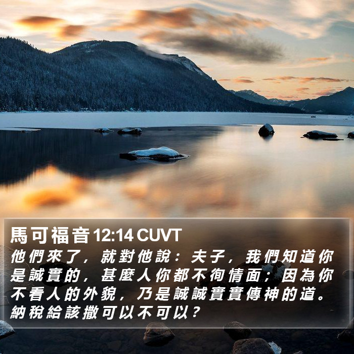 馬 可 福 音 12:14 CUVT Bible Study