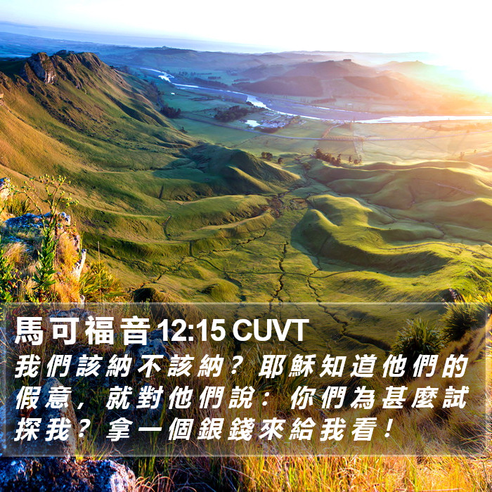 馬 可 福 音 12:15 CUVT Bible Study