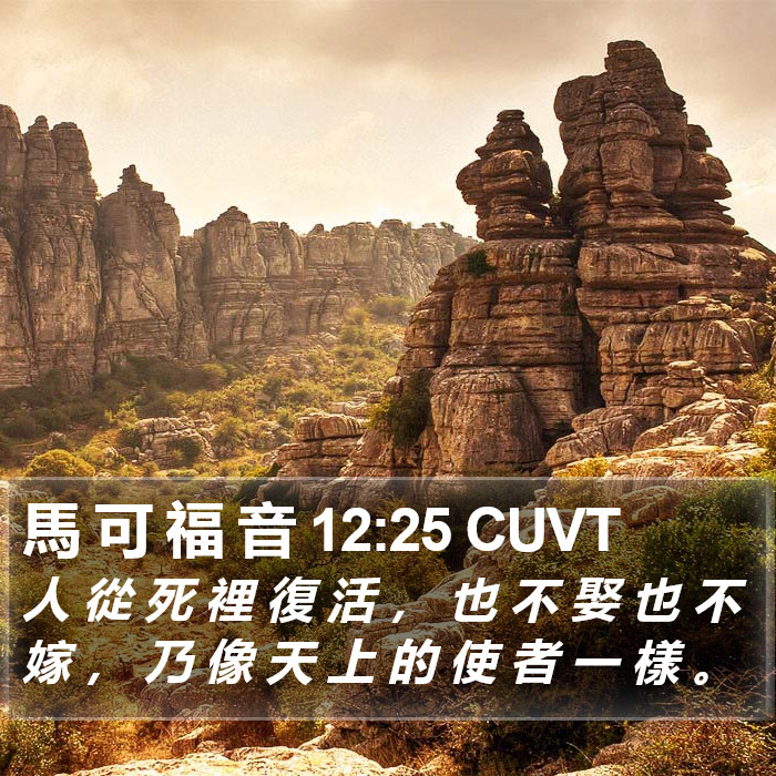 馬 可 福 音 12:25 CUVT Bible Study