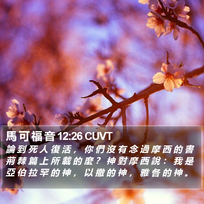 馬 可 福 音 12:26 CUVT Bible Study