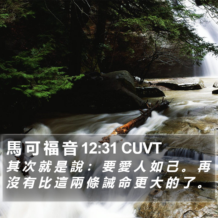 馬 可 福 音 12:31 CUVT Bible Study