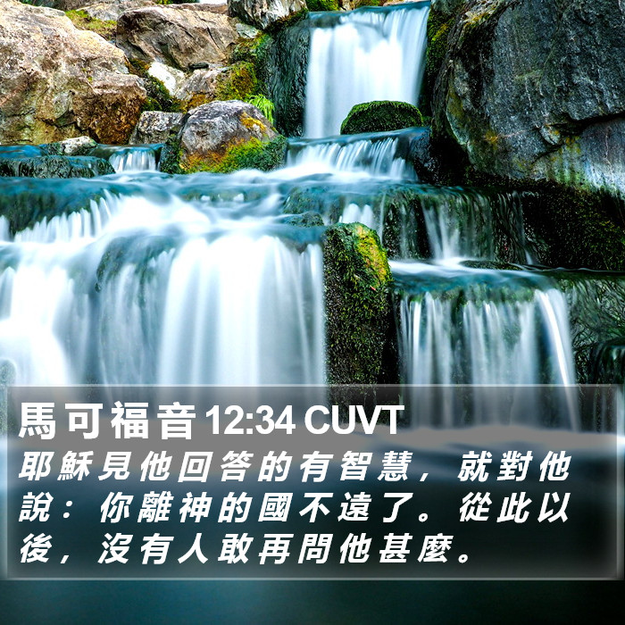 馬 可 福 音 12:34 CUVT Bible Study