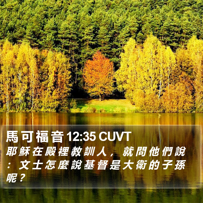 馬 可 福 音 12:35 CUVT Bible Study