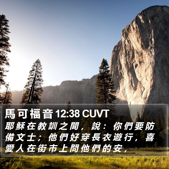 馬 可 福 音 12:38 CUVT Bible Study