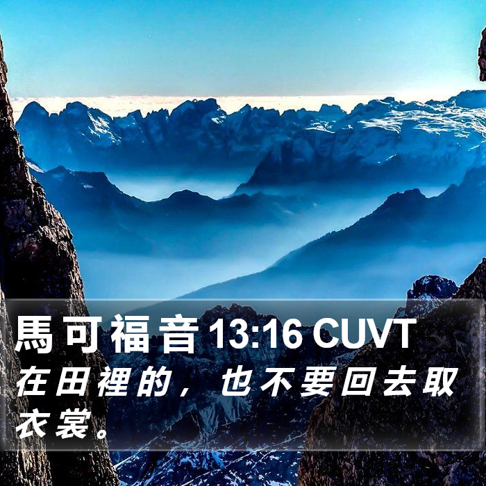 馬 可 福 音 13:16 CUVT Bible Study