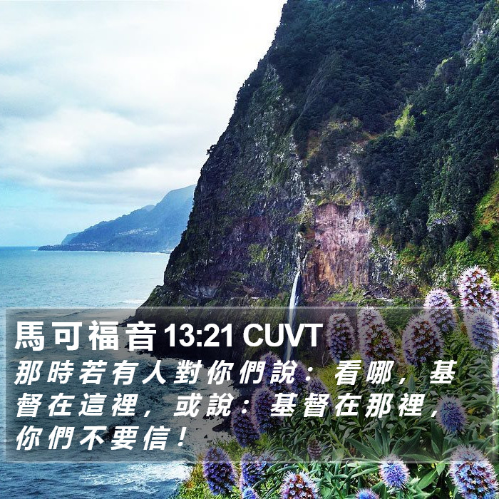 馬 可 福 音 13:21 CUVT Bible Study