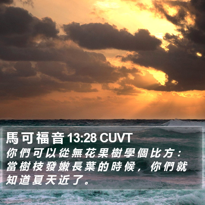 馬 可 福 音 13:28 CUVT Bible Study