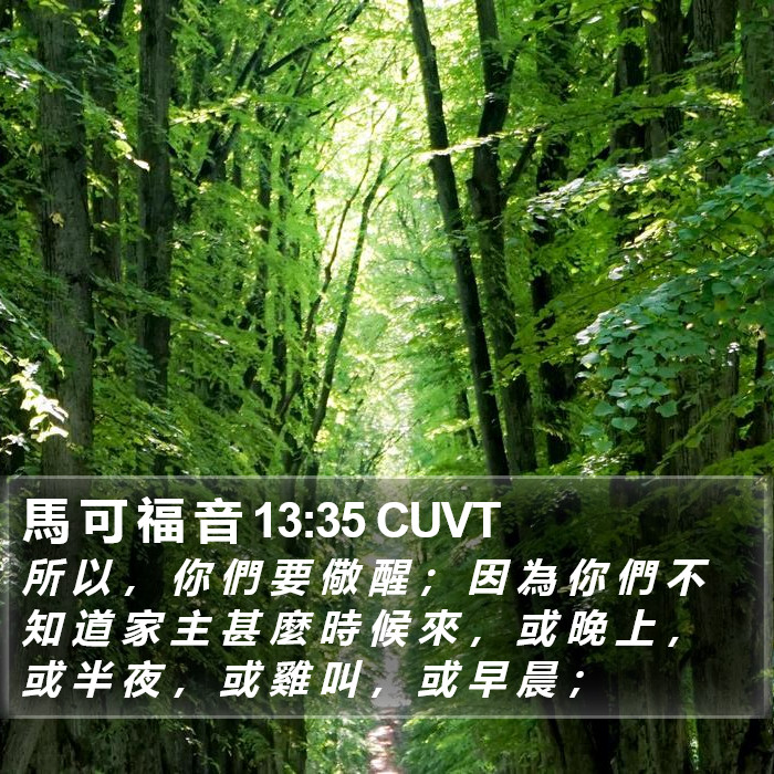 馬 可 福 音 13:35 CUVT Bible Study
