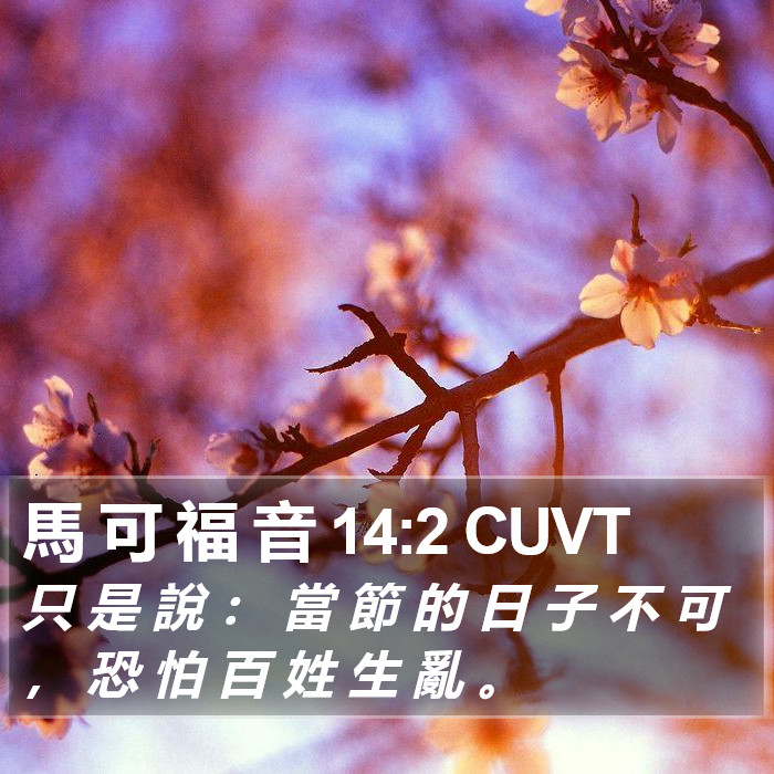 馬 可 福 音 14:2 CUVT Bible Study