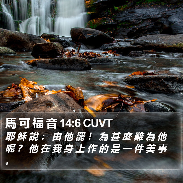 馬 可 福 音 14:6 CUVT Bible Study