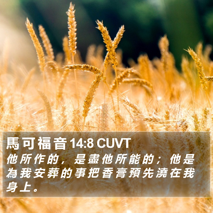 馬 可 福 音 14:8 CUVT Bible Study