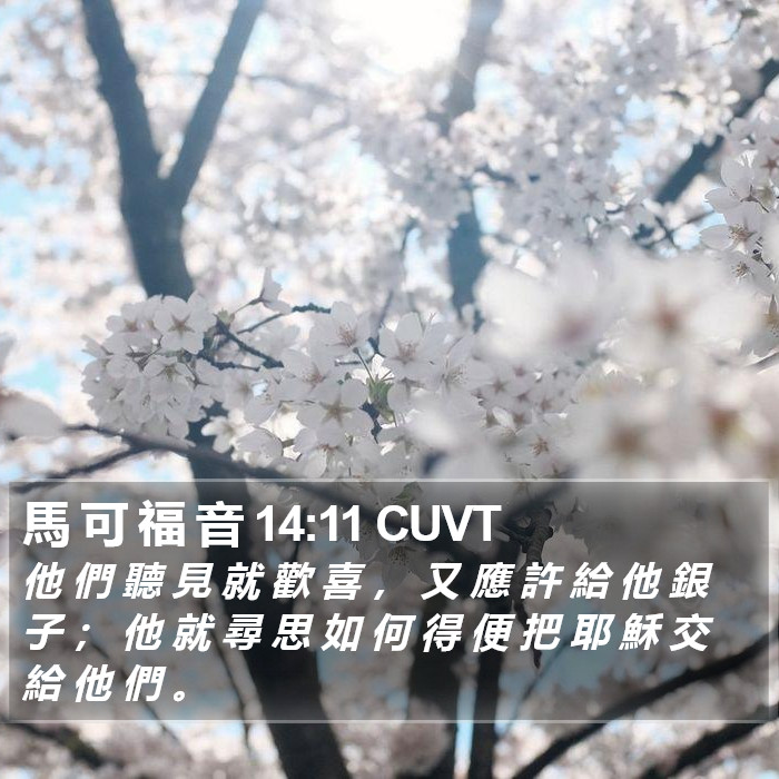 馬 可 福 音 14:11 CUVT Bible Study