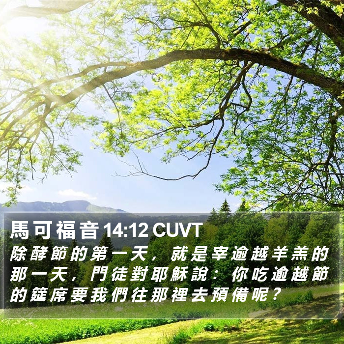 馬 可 福 音 14:12 CUVT Bible Study