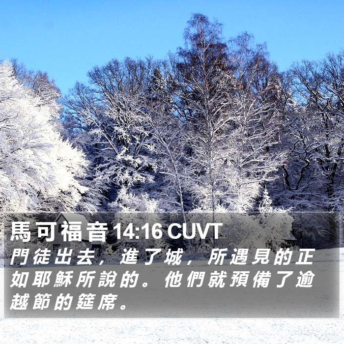 馬 可 福 音 14:16 CUVT Bible Study