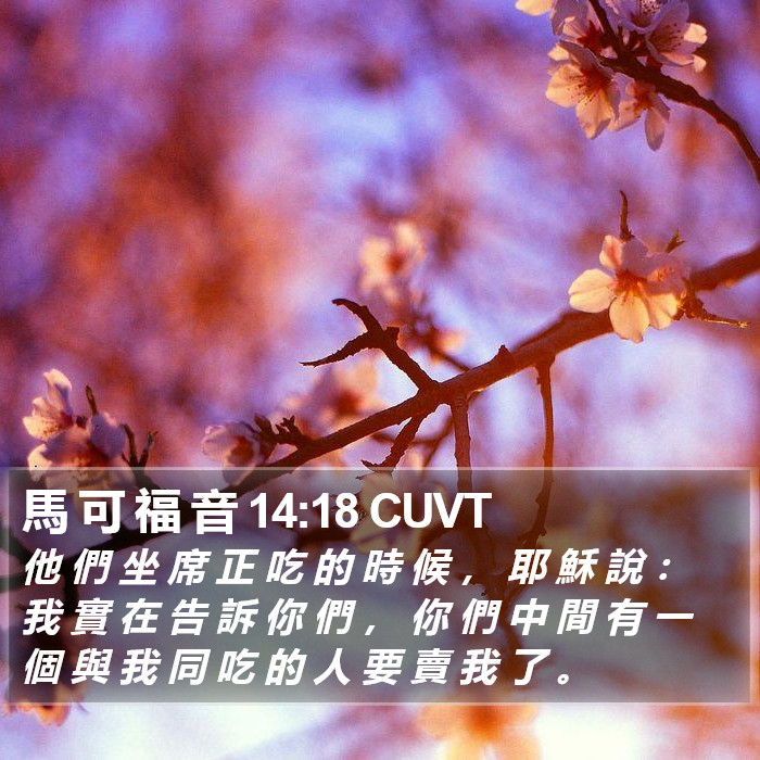 馬 可 福 音 14:18 CUVT Bible Study