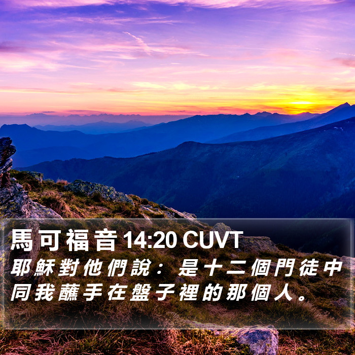 馬 可 福 音 14:20 CUVT Bible Study