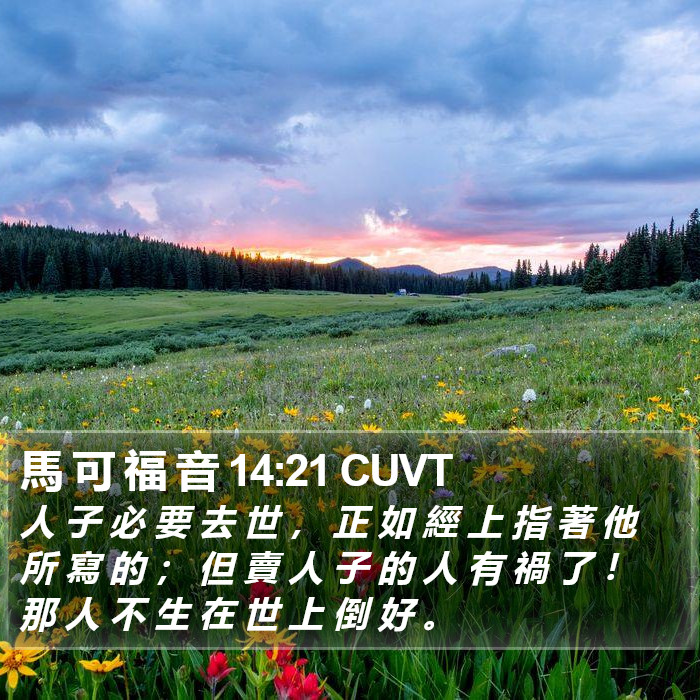 馬 可 福 音 14:21 CUVT Bible Study