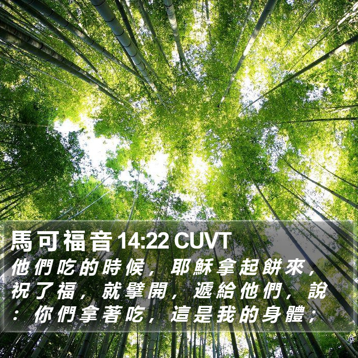 馬 可 福 音 14:22 CUVT Bible Study