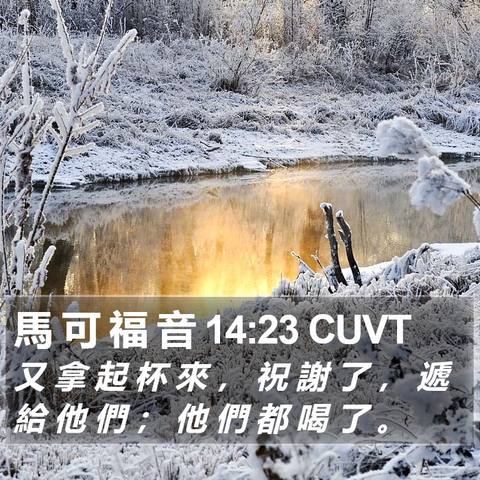 馬 可 福 音 14:23 CUVT Bible Study