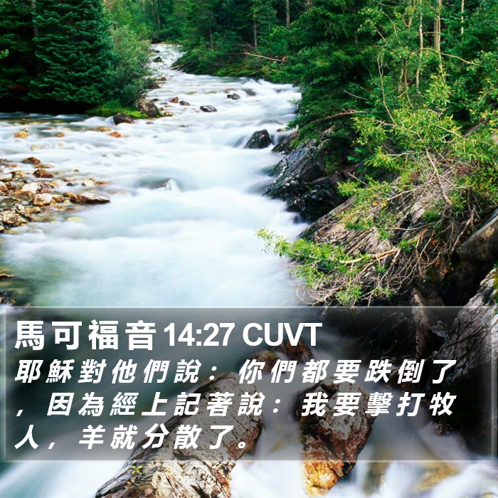 馬 可 福 音 14:27 CUVT Bible Study