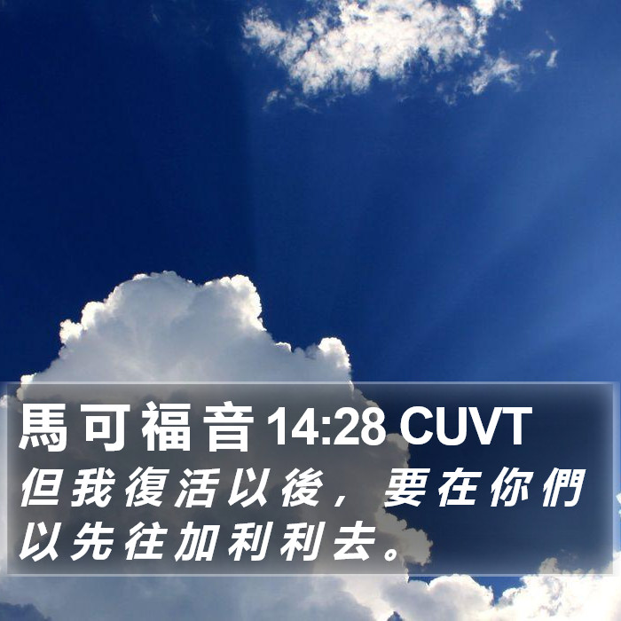 馬 可 福 音 14:28 CUVT Bible Study