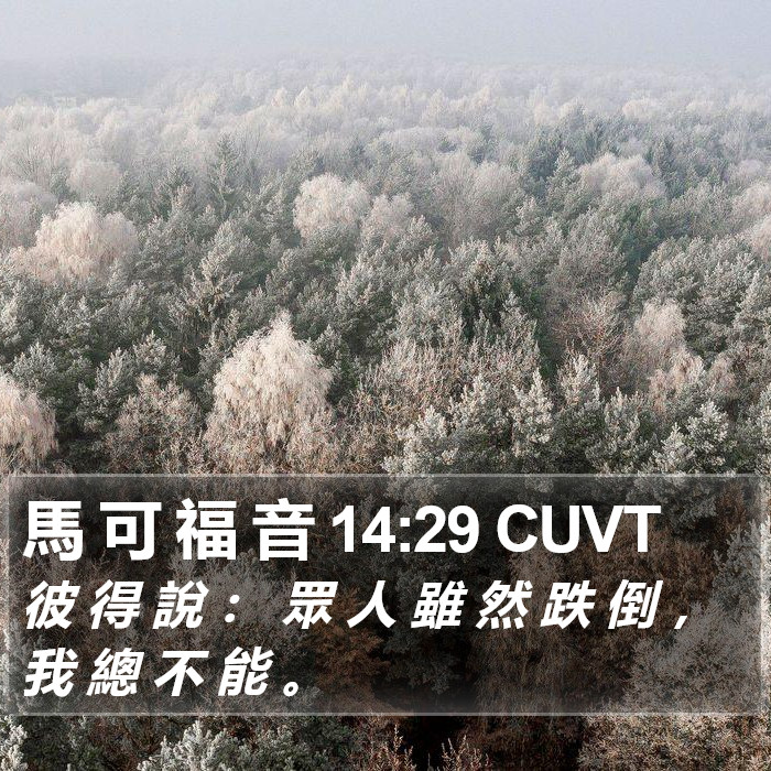 馬 可 福 音 14:29 CUVT Bible Study