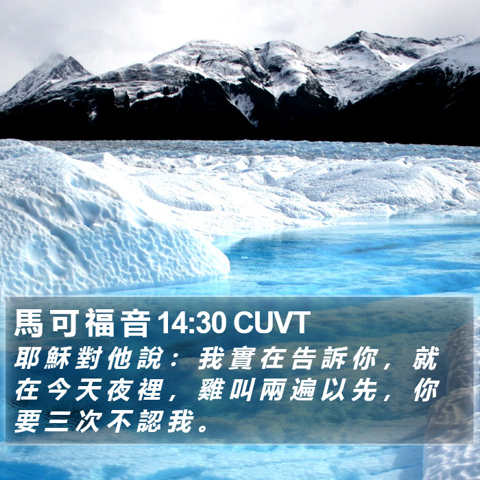 馬 可 福 音 14:30 CUVT Bible Study