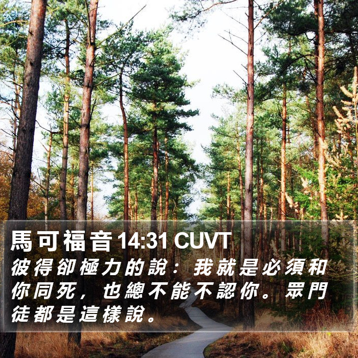 馬 可 福 音 14:31 CUVT Bible Study