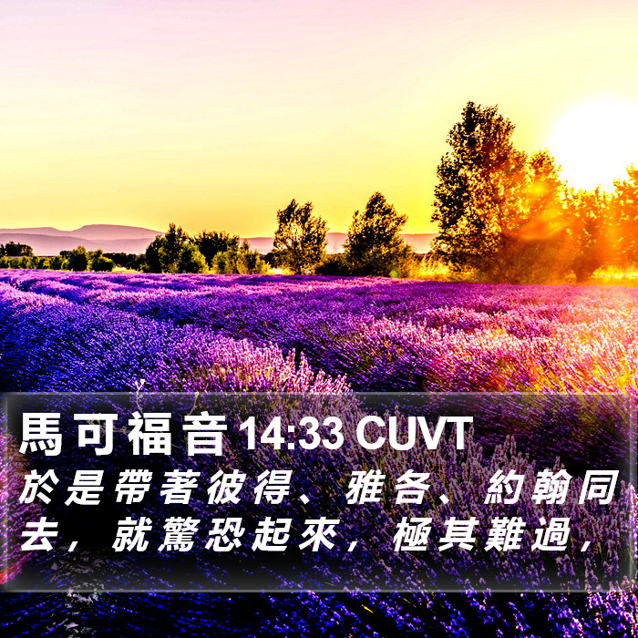 馬 可 福 音 14:33 CUVT Bible Study