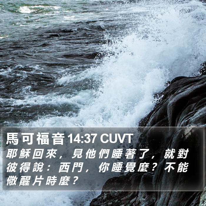 馬 可 福 音 14:37 CUVT Bible Study