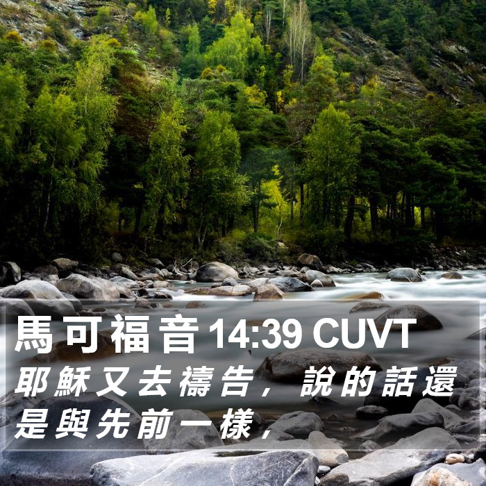 馬 可 福 音 14:39 CUVT Bible Study